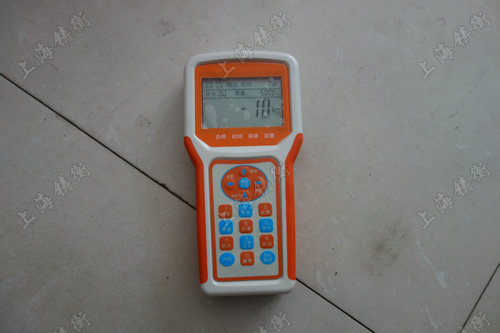 直視電子吊稱